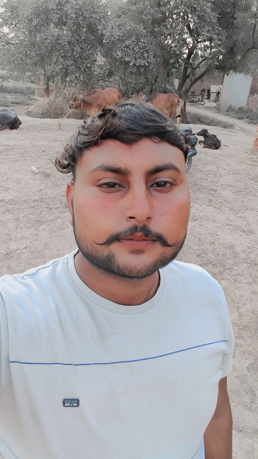 पवन सैन नंदवंशी